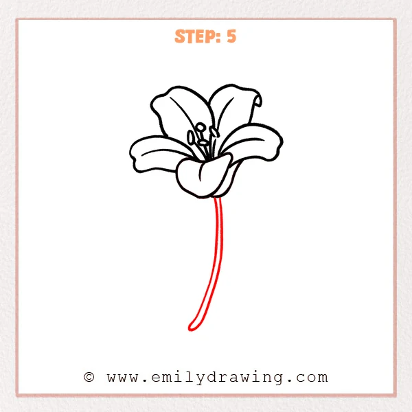 how to draw a lily flower - Step 5